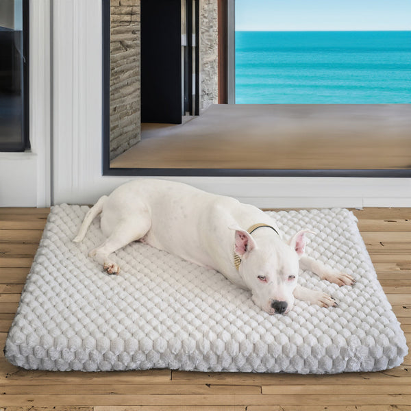 Orthopedic Memory Foam Pet Bed - Gray